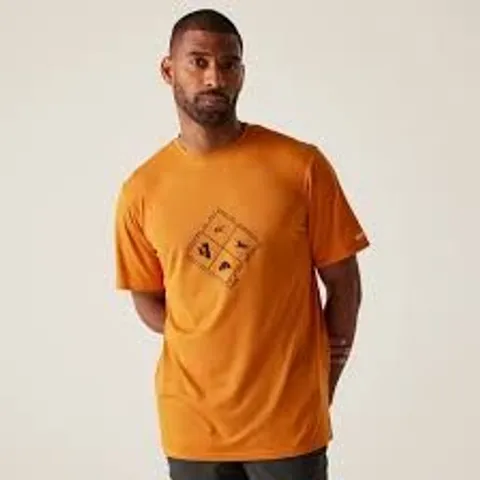 BRAND NEW REGATTA FINGAL T-SHIRT IN ORANGE - UK 4XL