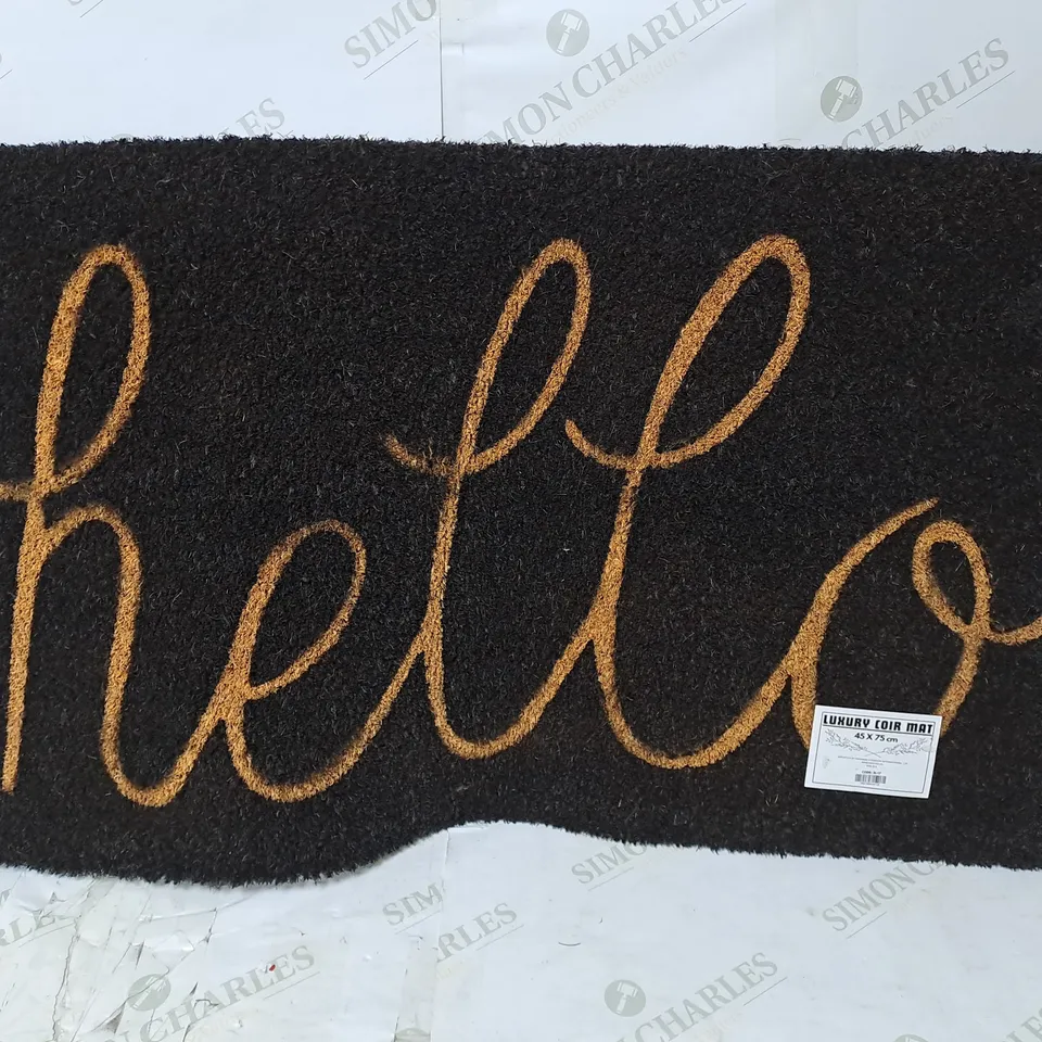 2 FLOOR MATS TO INCLUDE LUXURY COIR MAT APPROX. 45CM X 75M 
