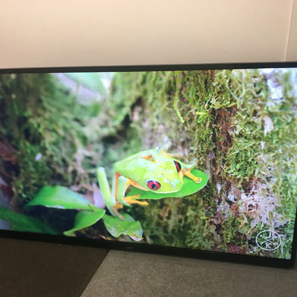 NEC 65" SIGNAGE DISPLAY 