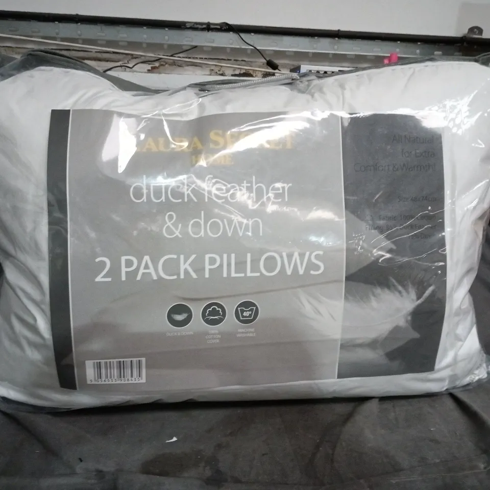 Duck Feather & Down 2-Pack Pillows
