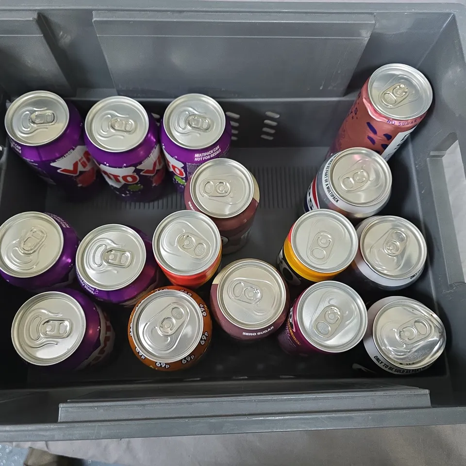 LOT OF 21 ASSORTED CANS OF DRINK TO INCLUDE J20, VIMTO AND PEPSI