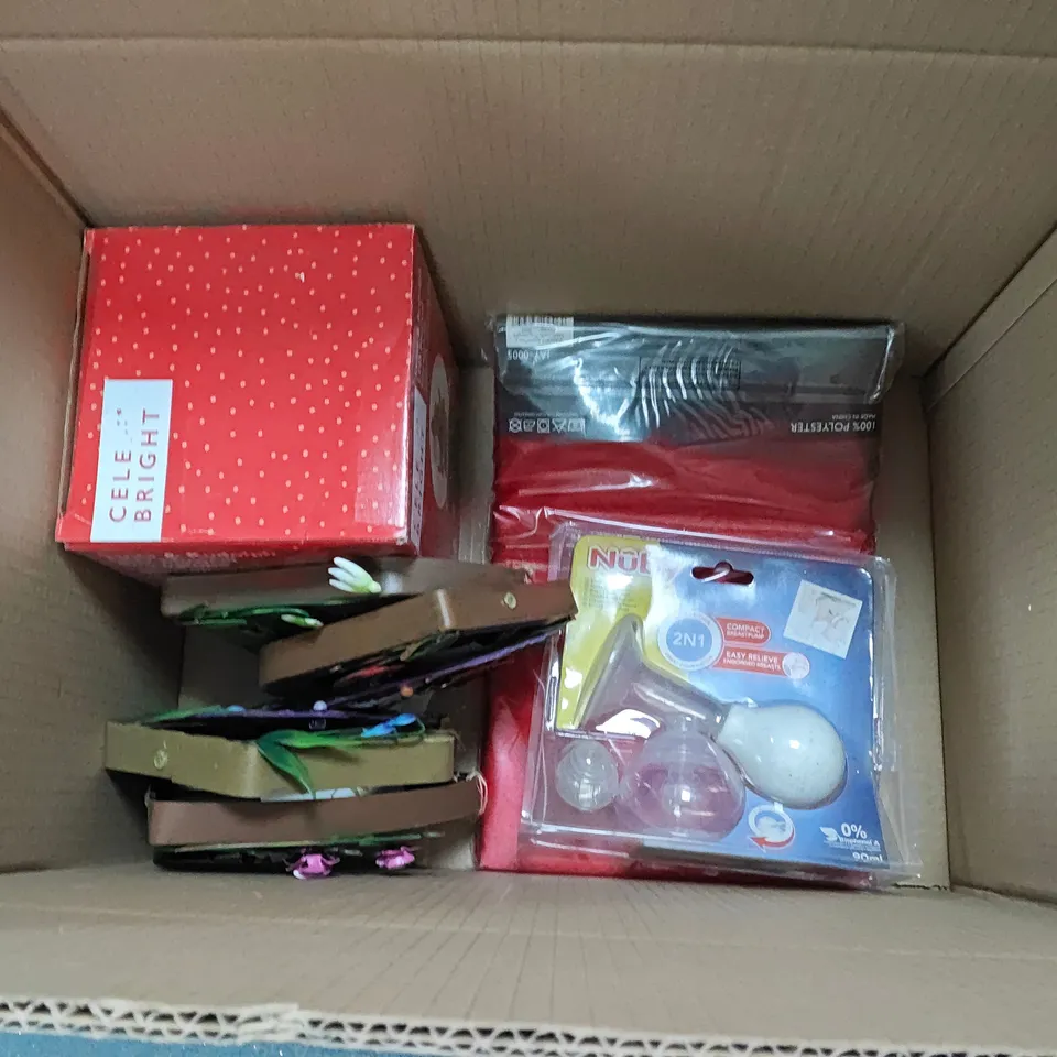 LOT OF APPROXIMATELY 20 ASSORTED HOUSEHOLD ITEMS TO INCLUDE A5 MOTTLED CARDS, FAIRY DOORS AND MUSICAL SNOW GLOBES