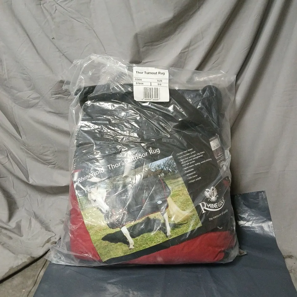 RHINEGOLD THOR TURNOUT RUG ST664 5/9