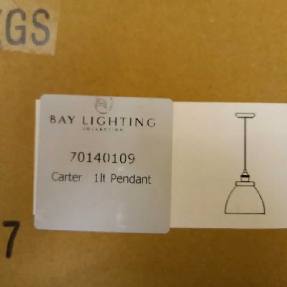 BAY LIGHTING CARTER 1-LIGHT CEILING PENDANT, MATT/NICKEL