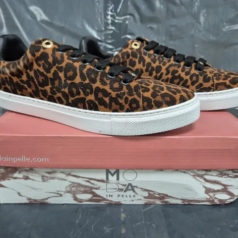 BOXED PAIR OF MODA IN PELLE ARRIA TRAINERS IN LEOPARD SIZE 7