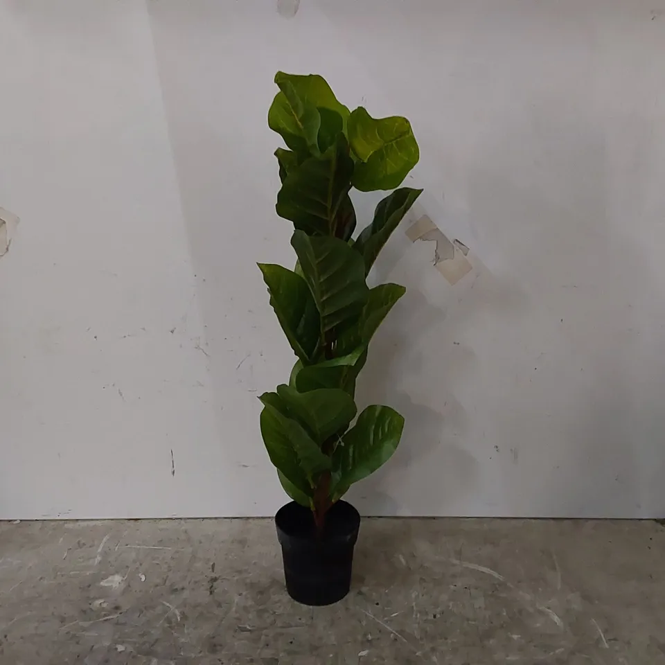 BOXED FAUX FIDDLE LEAF PLANT IN PLANTER (1 BOX)