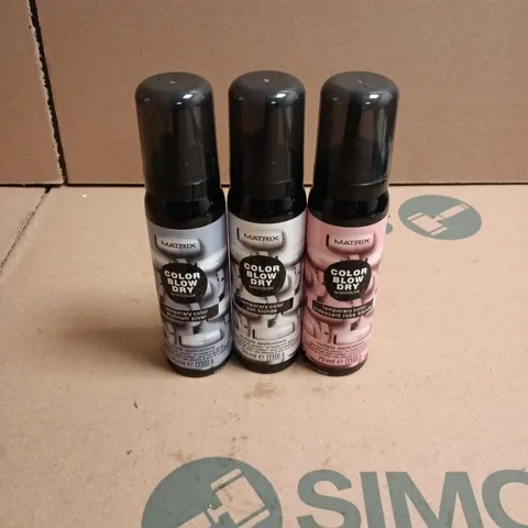 APPROXIMATELY 22 X ASSORTED MATRIX COLOR BLOW DRY HAIR CARE PRODUCTS TO INCLUDE PLATINUM SILVER, ASH BLONDE ETC