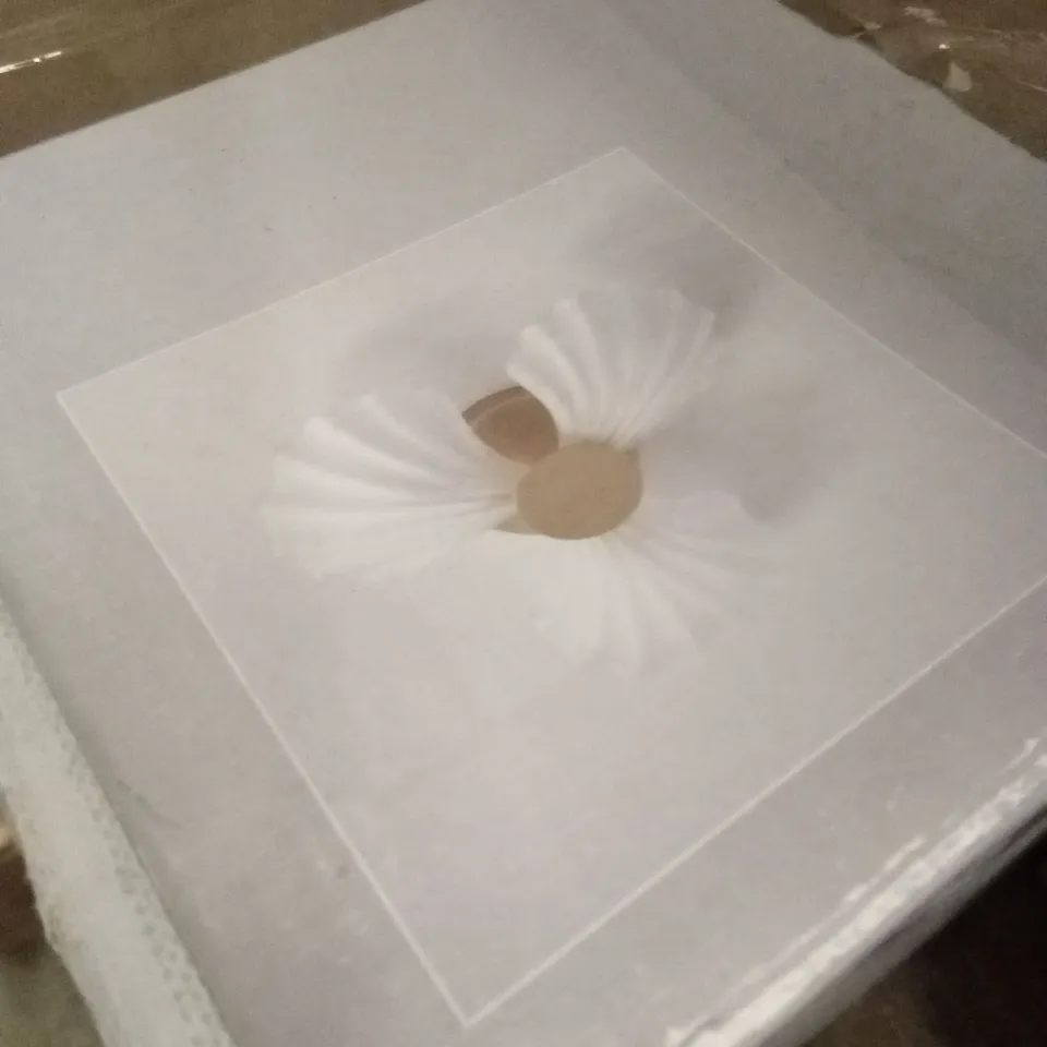 BOXED DUNELM SHELL FLUSH CEILING FITTING