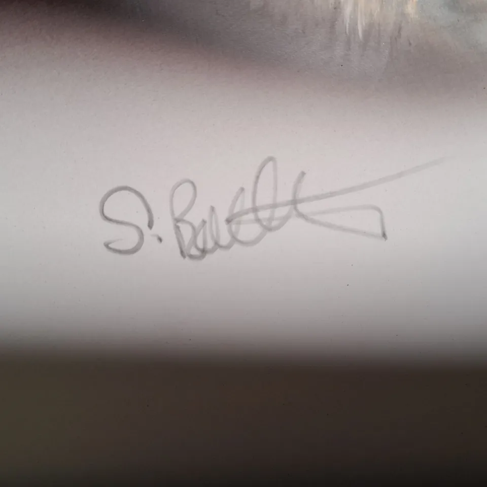 FRAMED AND SIGNED INSECT ART PRINT - COLLECTION ONLY