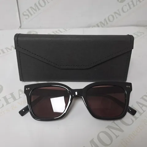 HUMMINGBIRD SUNGLASSE AND READING GLASSES 3.0