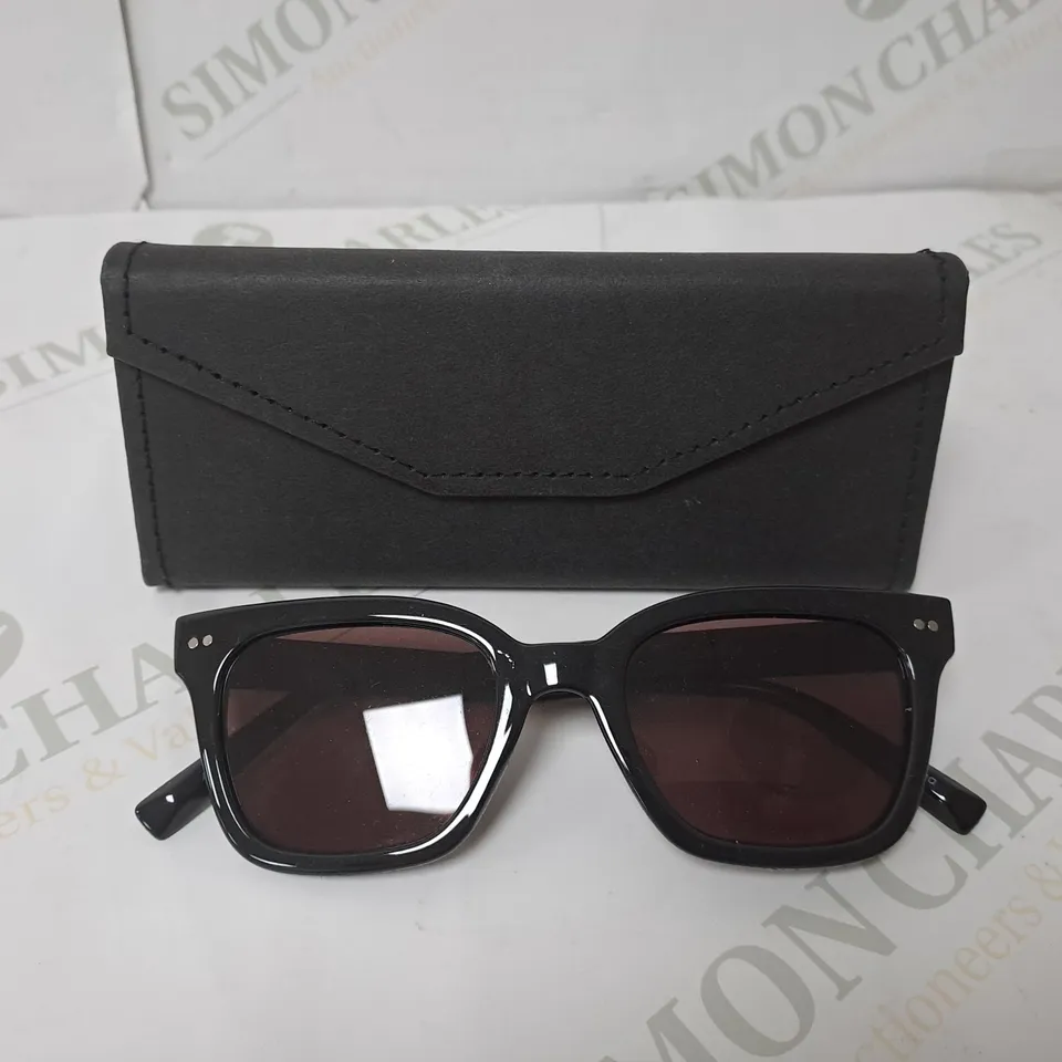 HUMMINGBIRD SUNGLASSE AND READING GLASSES 3.0