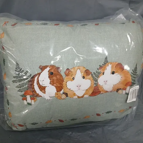 14 BAGGED AUTUMN GUINEA PIGS 35X45CM CUSHIONS - COLLECTION ONLY