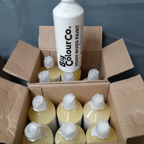 LOT OF 12 BOTTLES OF READY MIXED PAINT - WHITE - 600ML PER BOTTLE