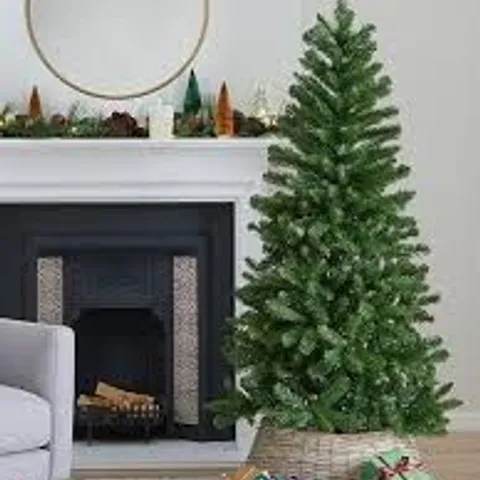 BOXED EVERYDAY 6FT CHRISTMAS TREE - COLLECTION ONLY