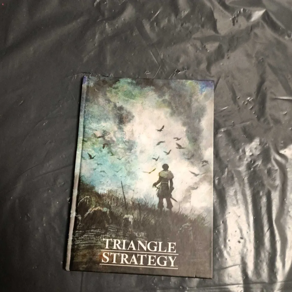 A BOX OF APPROXIMATELY 80 TRIANGLE STRATEGY EMPTY BOOKS