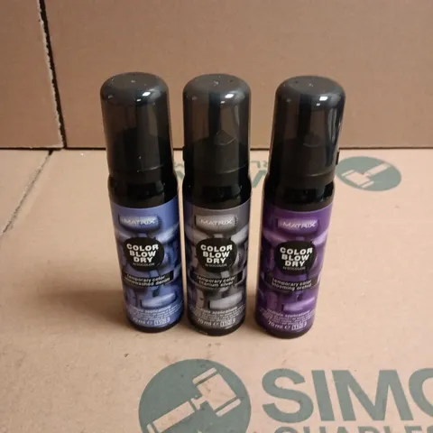 APPROXIMATELY 22 X ASSORTED MATRIX COLOR BLOW DRY HAIR CARE PRODUCTS TO INCLUDE BLOOMING ORCHARD, STONEWASHED DENIM ETC