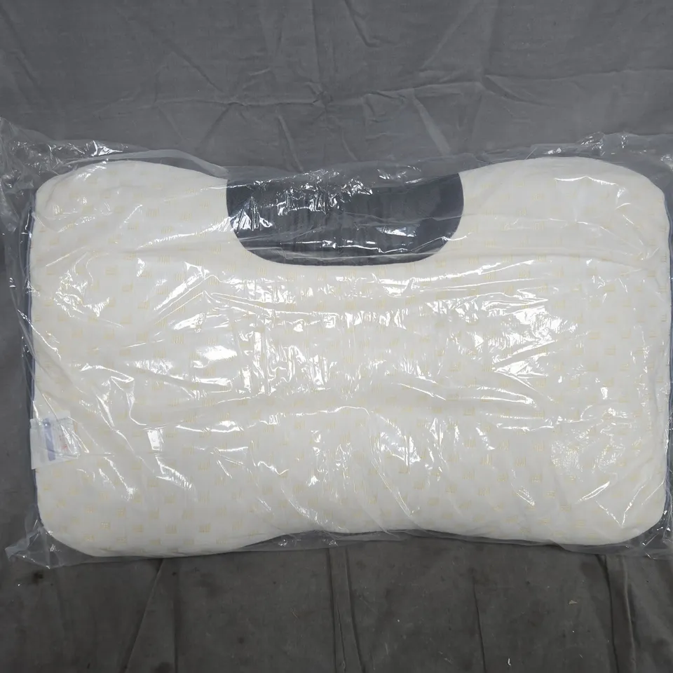 BAGGED MEMORY FOAM PILLOW 