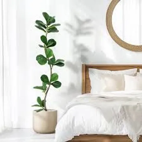 BOXED GARVEE 1.5 M (5 FT) ARTIFICIAL FIDDLE LEAF FIG TREE IN BLACK PLASTIC POT