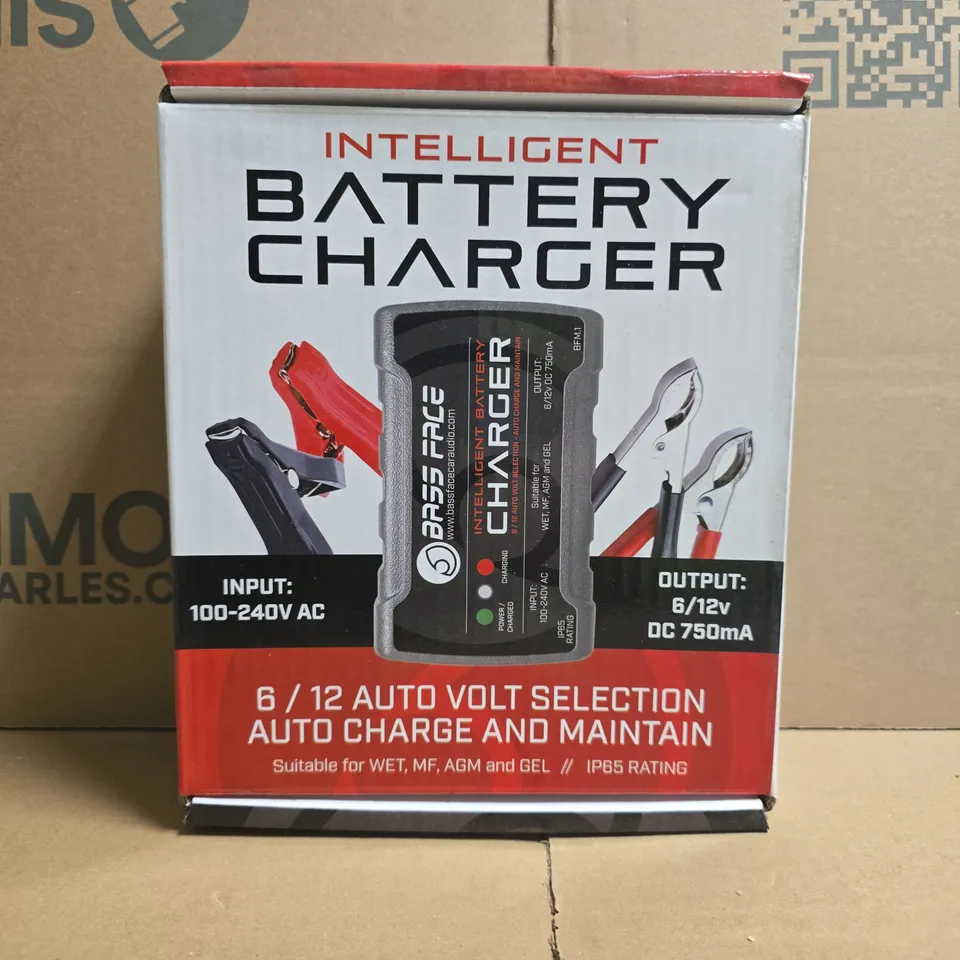 BOXED BASS FACE INTELLIGENT BATTERY CHARGER