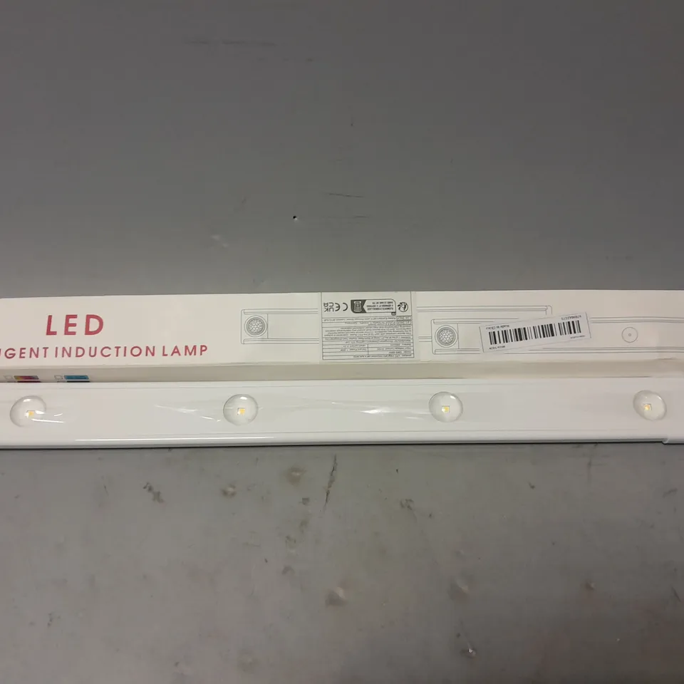 BOXED LED INTELLIGENT INDUCTYION LAMP