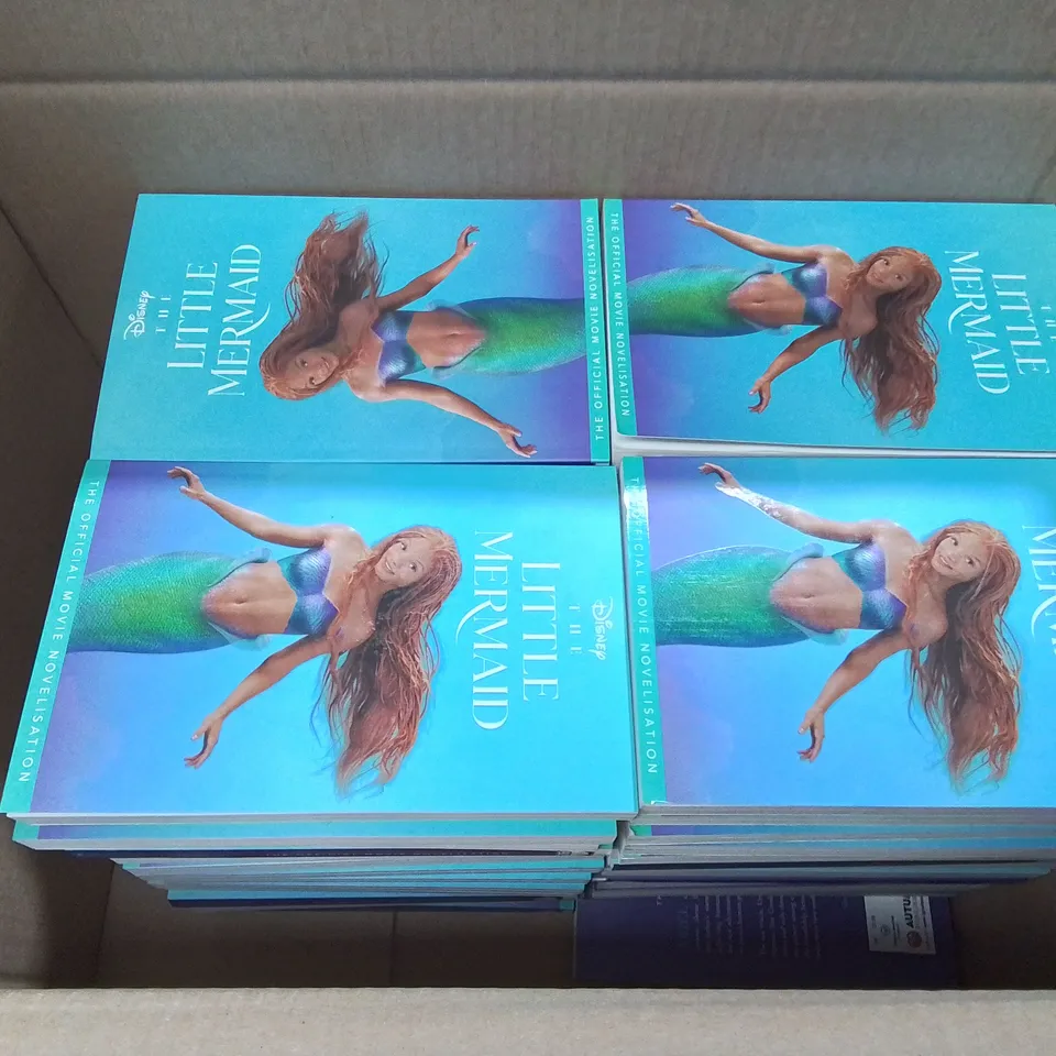 LOT OF APPROXIMATELY 60 DISNEY THE LITTLE MERMAID BOOKS