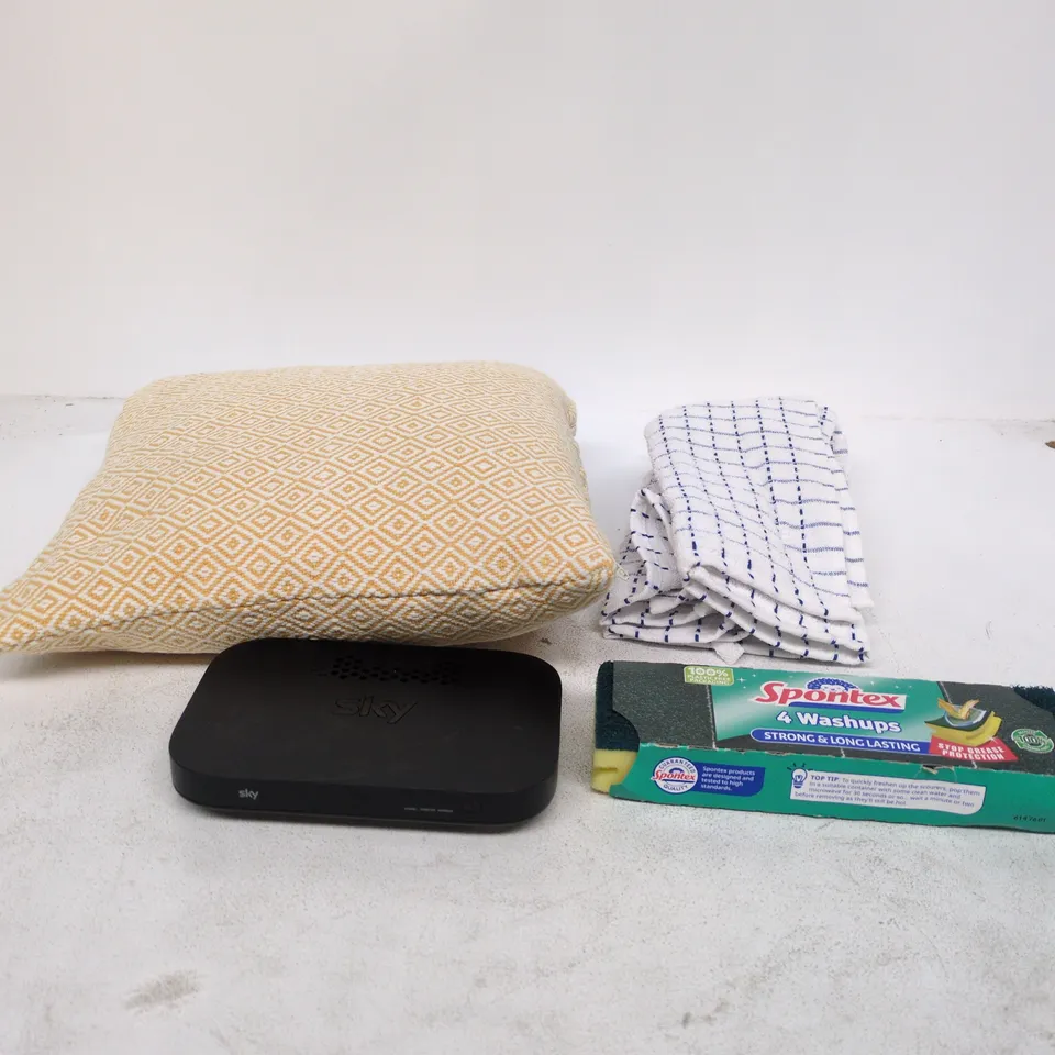 BOX OF APPROXIMATELY 20 ASSORTED ITEMS TO INCLUDE TEA TOWELS, CUSHION, SKY BOX, SPONTEX SET OF 4 ETC