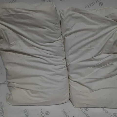 NORTHERN NIGHTS SET OF PUR FEATHER PILLOWS