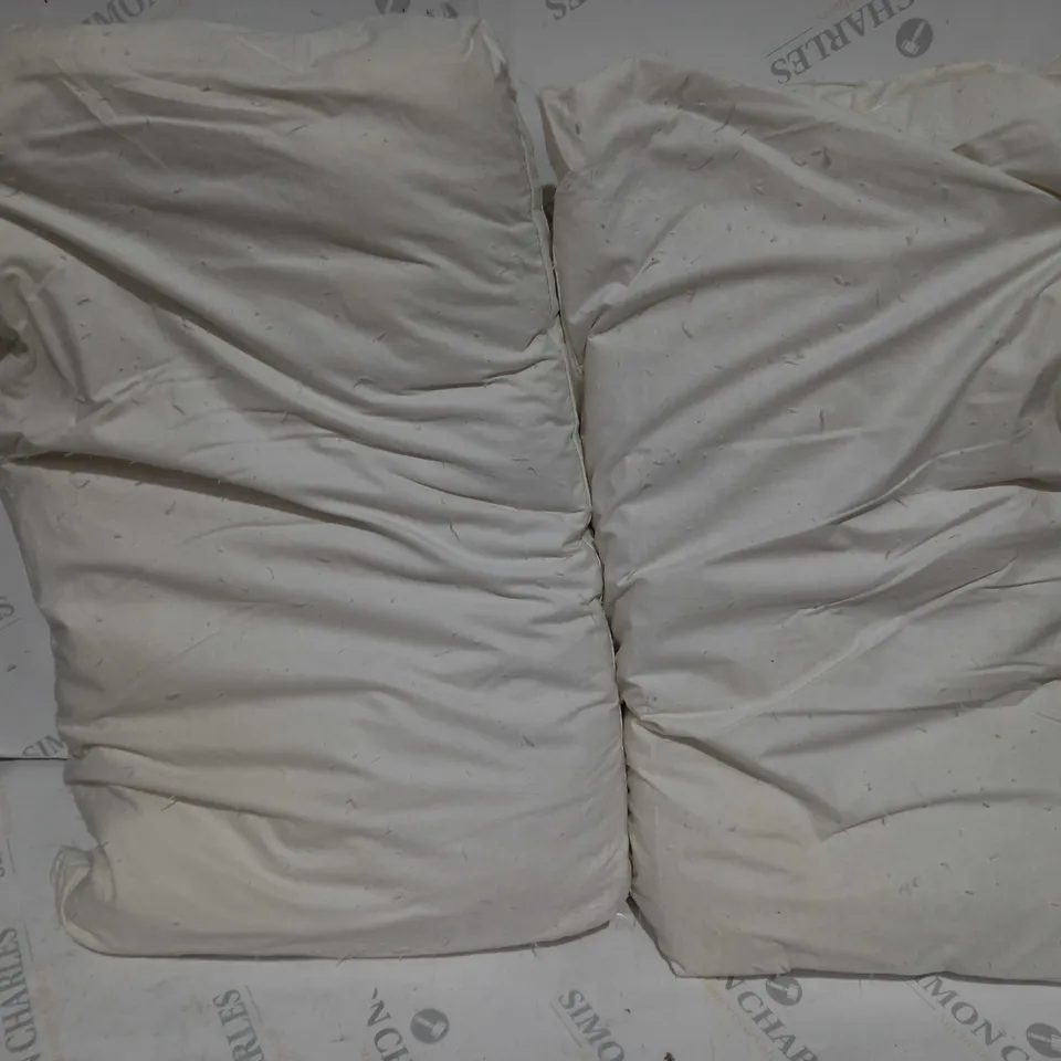 NORTHERN NIGHTS SET OF PUR FEATHER PILLOWS 