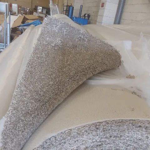 ROLL OF QUALITY FIRST IMPRESSIONS FRESH CARPET - APPROXIMATELY 8 x 5m