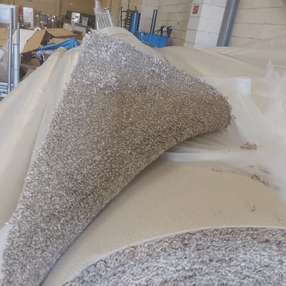ROLL OF QUALITY FIRST IMPRESSIONS FRESH CARPET - APPROXIMATELY 8 x 5m