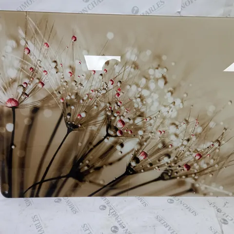 BOXED WALL ART DANDELION PHOTOGRAPHIC PRINT IN RED/GOLD 64.2 X 90CM