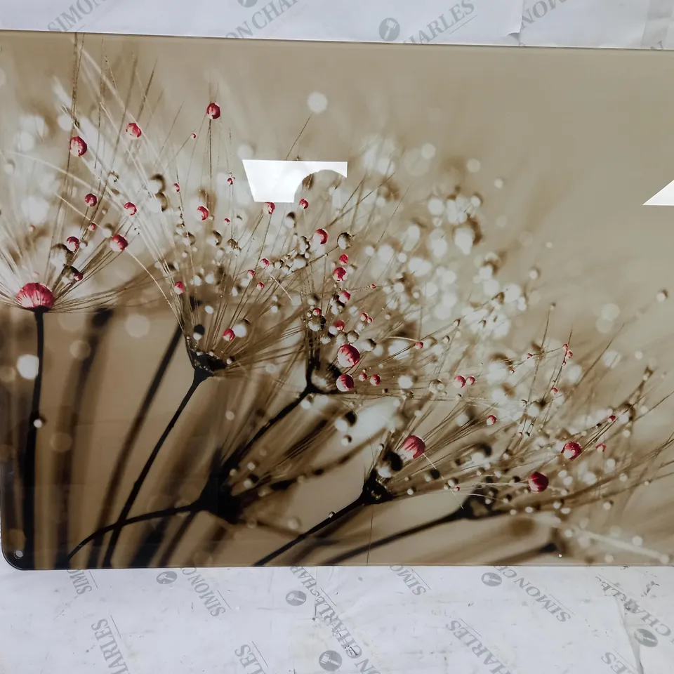 BOXED WALL ART DANDELION PHOTOGRAPHIC PRINT IN RED/GOLD 64.2 X 90CM