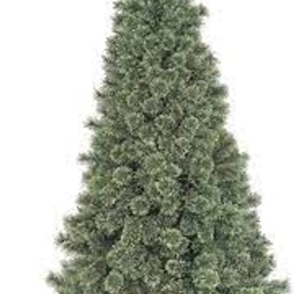 BOXED 210CM ARCADIA FULL CASHMERE TREE WITH 800 TIPS 