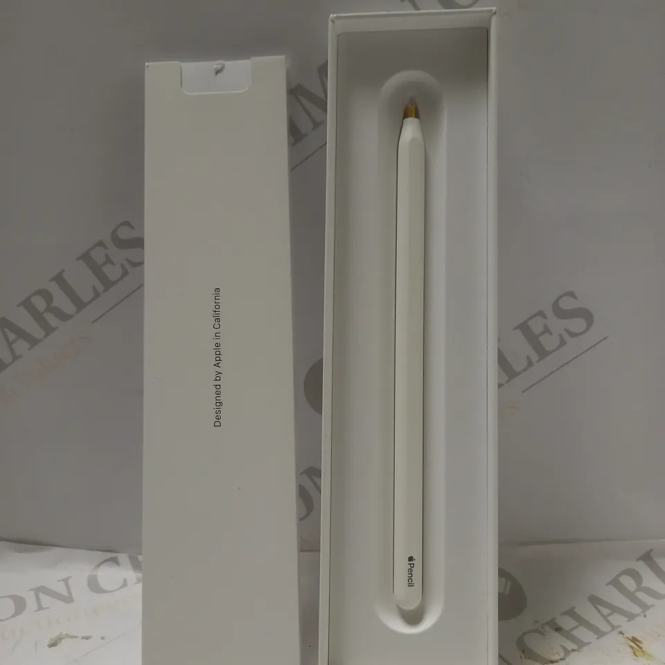 APPLE PENCIL (2ND GEN)