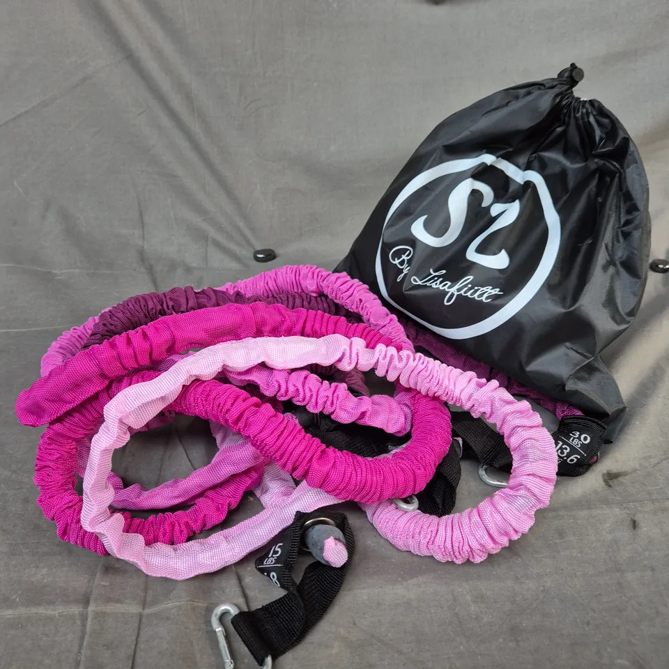 GENFLOW RESISTANCE TUBE SET – PURPLE, 10 SETS