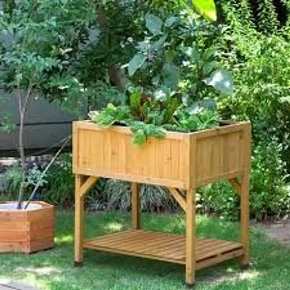 BOXED VEGTRUG RAISED BED PLANTER (1 BOX)