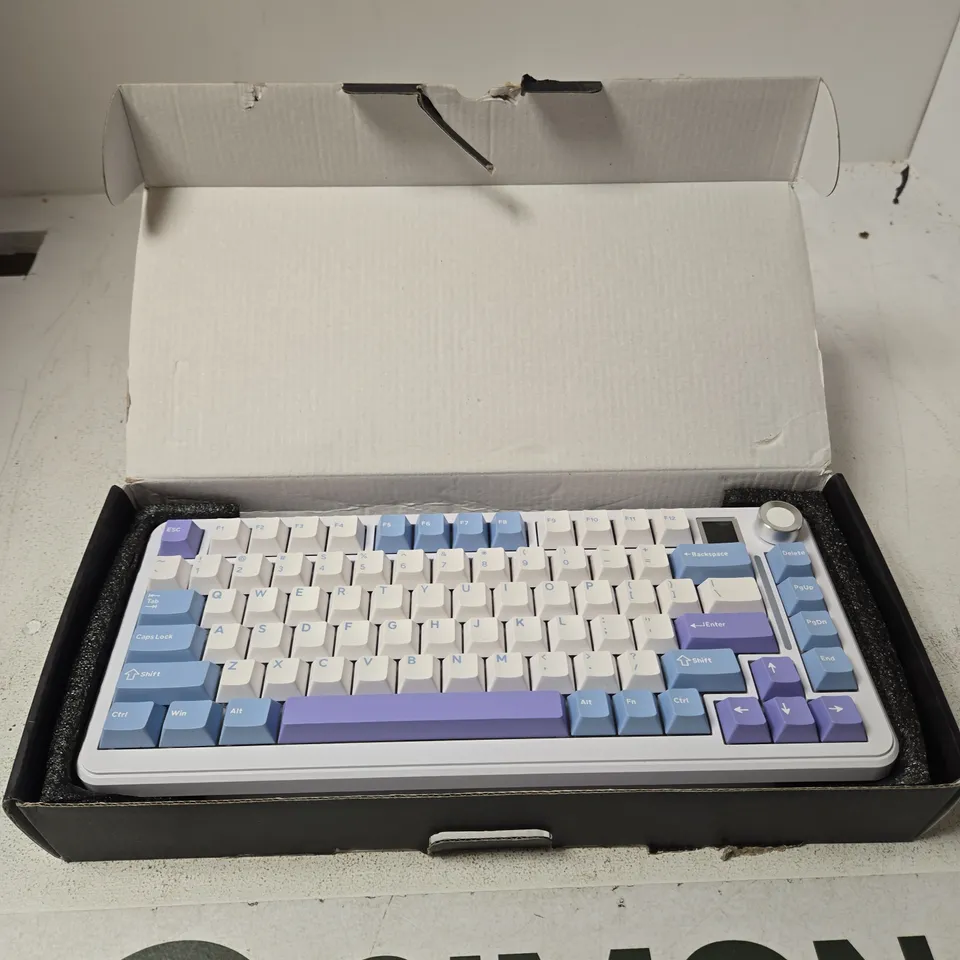 AJAZZ MECHANICAL KEYBOARD – WHITE CHASSIS WITH PASTEL BLUE/PURPLE KEYCAPS