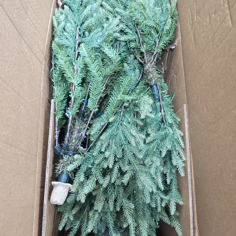 BOXED PRE LIT GRAND NOTTINGHAM FIR CHRISTMAS TREE