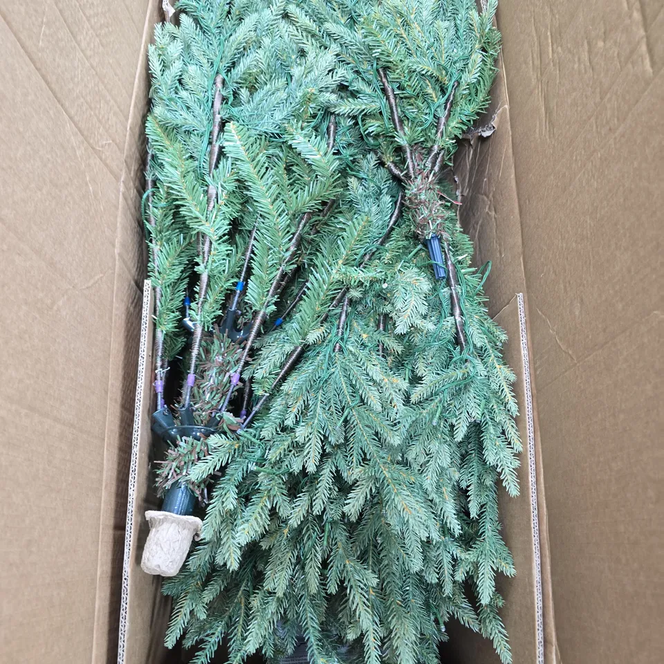 BOXED PRE LIT GRAND NOTTINGHAM FIR CHRISTMAS TREE