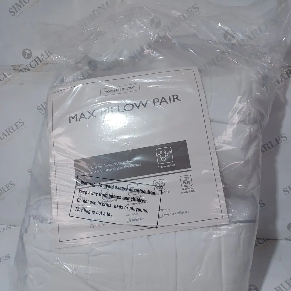 MODERN BEDROOM MAX PILLOW PAIR
