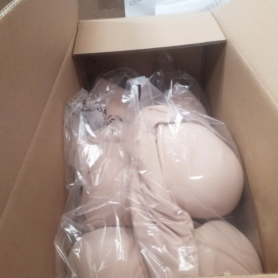 BOX CONTAINING APPROXIMATELY 8X BRAND NEW FIGLEAVES SMOOTHING SLIP - COLOUR LATTE - SIZE 42E