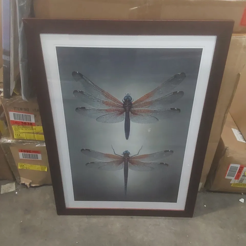 BOXED SPELLBOUNDING DRAGONFLIES - PICTURE FRAME PAINTING 