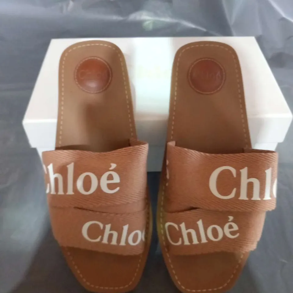 BOXED CHLOE WOODY MULE PALE PINK CANVAS SIZE 39