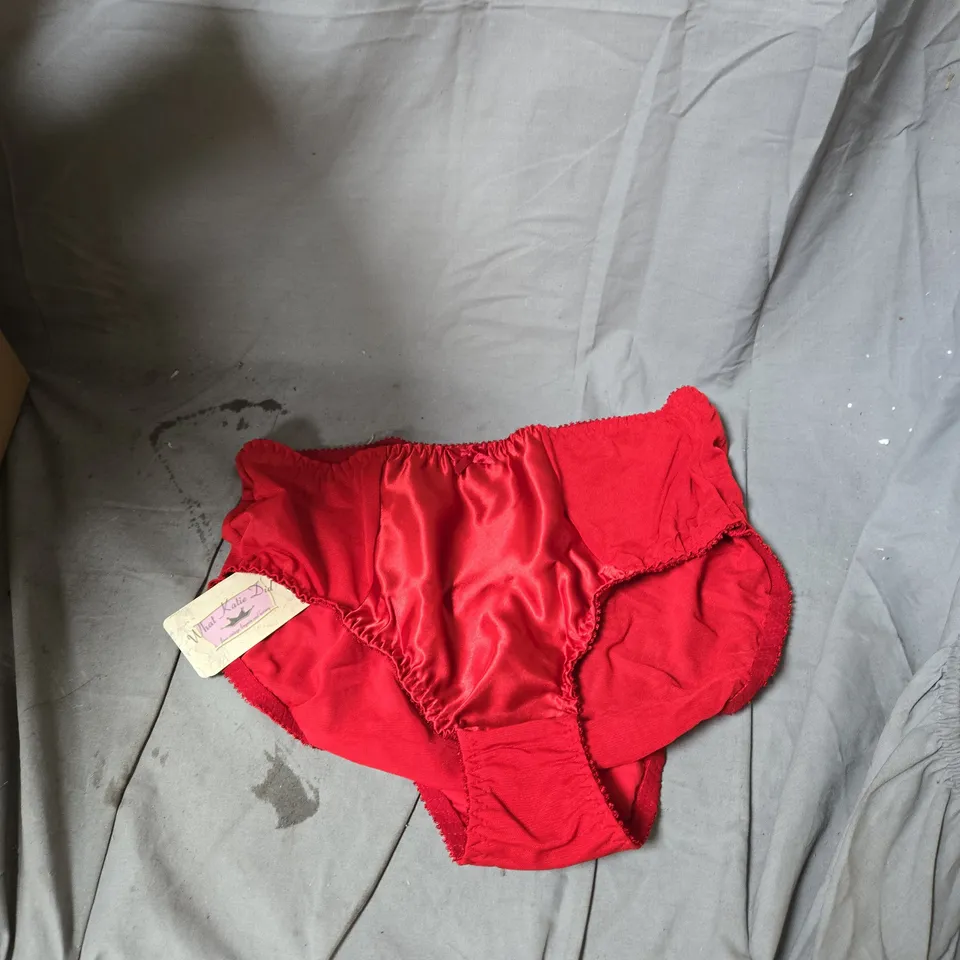 BOX OF APPROXIMATELY 25 ASSORTED CLOTHING ITEMS INCLUDING NESSA BRA , SUSA BRA , MARIE JO BRIEFS AND WHAT KATIE DID BRIEFS 