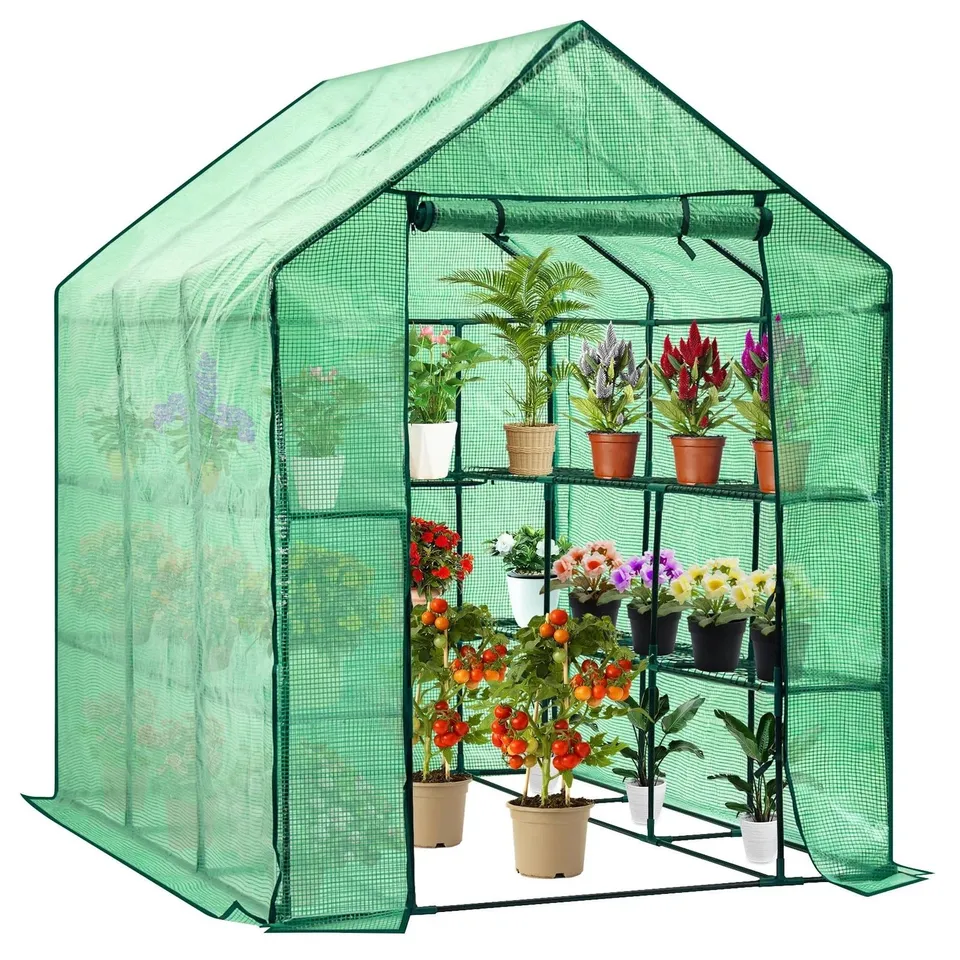 BOXED DISPLAY4TOP PORTABLE GREENHOUSE