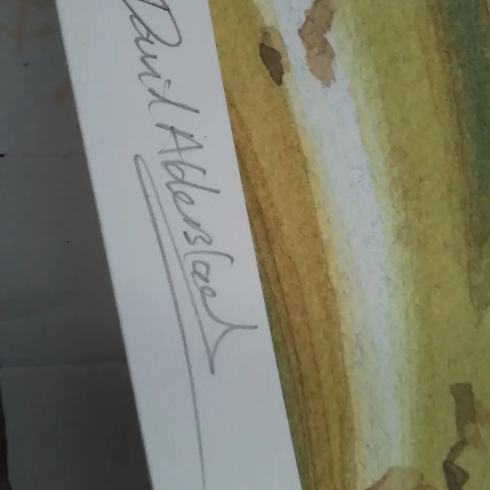 'RIVER'- DAVID. A 10/100 