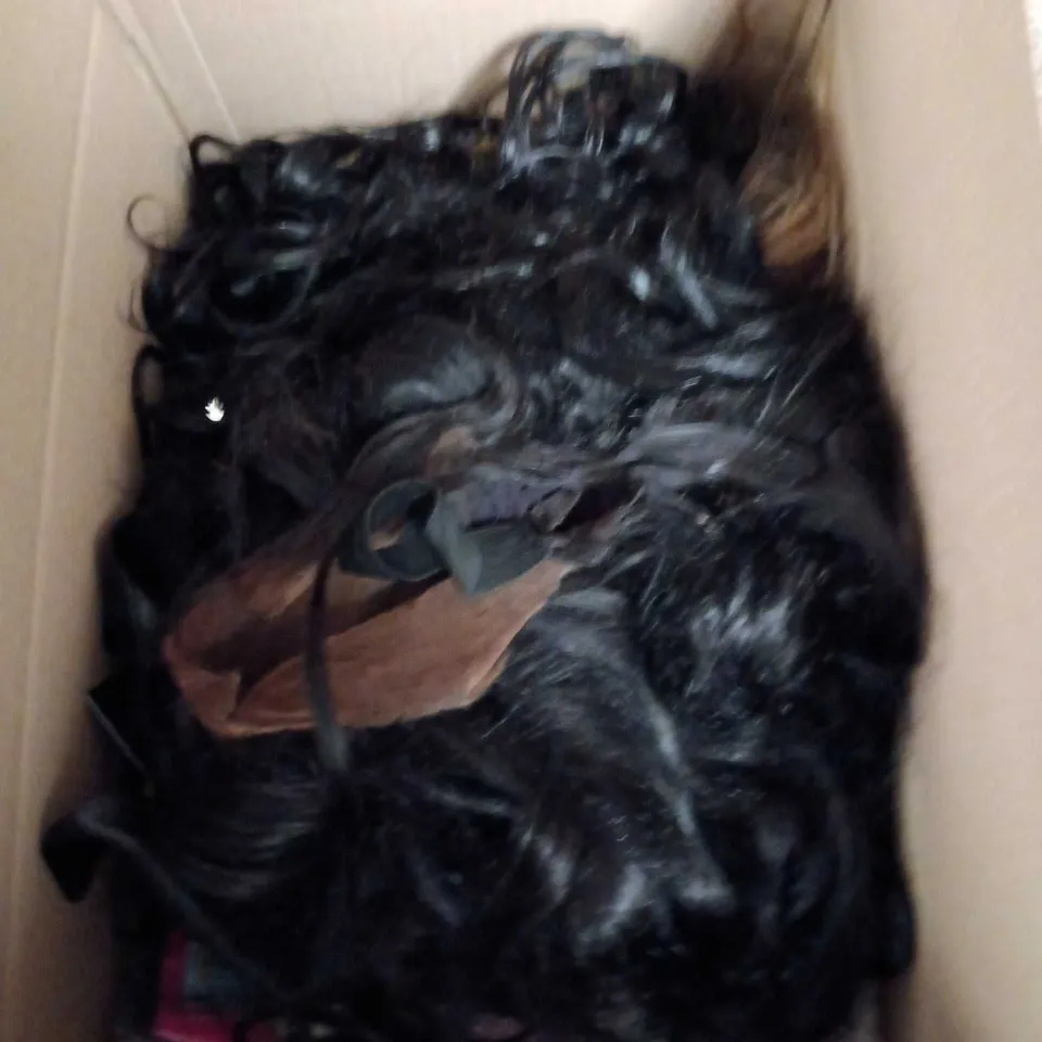 BOX OF APPROXIMATELY 10 WIGS AND HAIR PIECES VARIOUS COLOURS AND STYLES