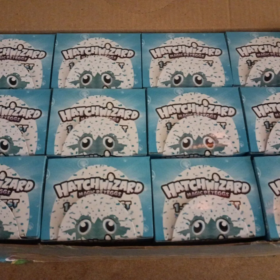 BOXED HATCHWIZARD MAGIC PET EGGS (24 PCS)