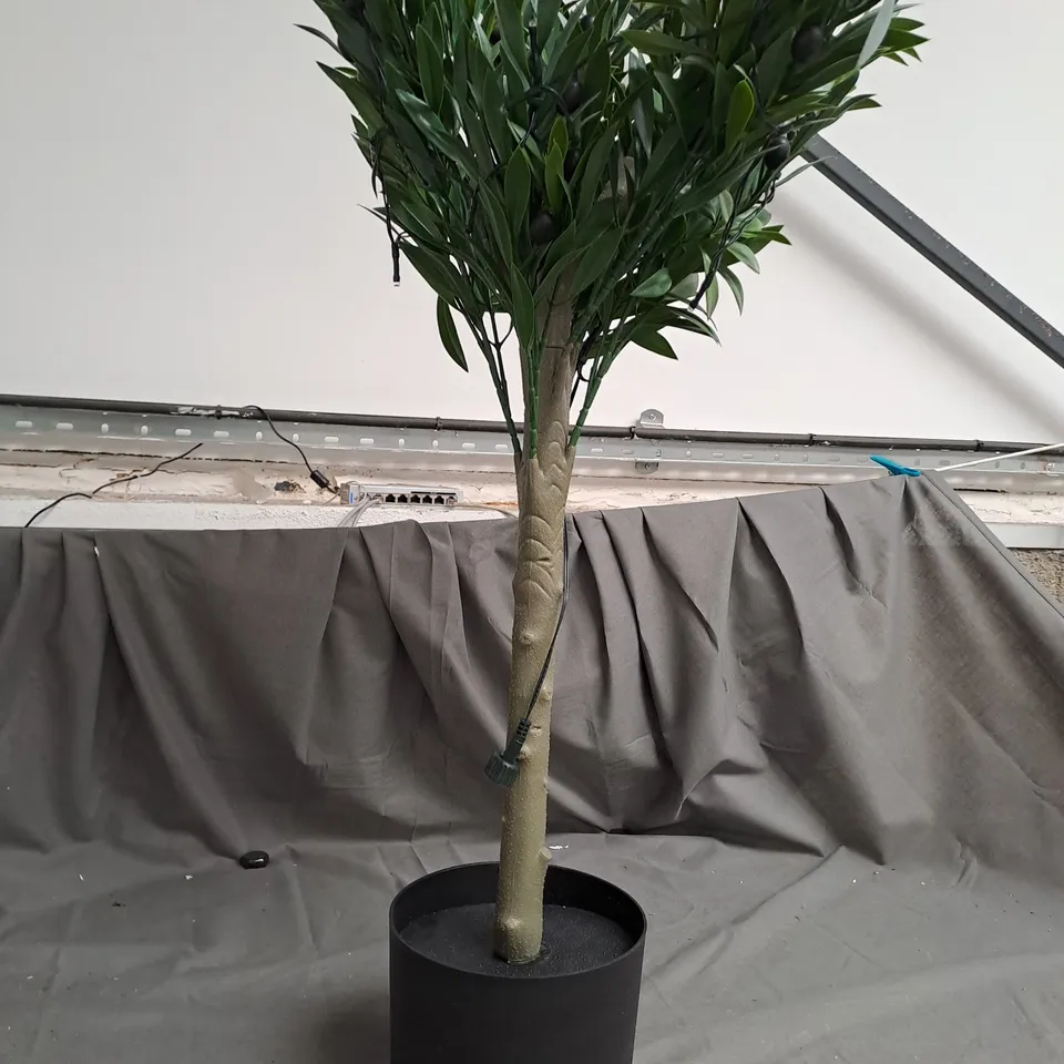 BOXED MY GARDEN STORIES BUSHY LED OLIVE TREE