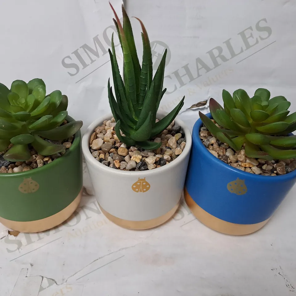 BOXED SET OF 3 MINI CERAMIC FAUX WITH PLANT 